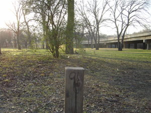 Springfield Park, Rowlett, Tx
