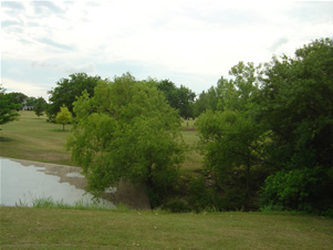 Shawnee Park, Plano, Tx