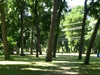 Alex Clark Memorial DGC